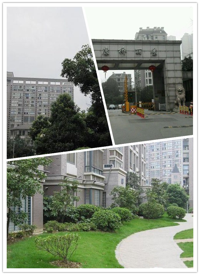 康桥2.png